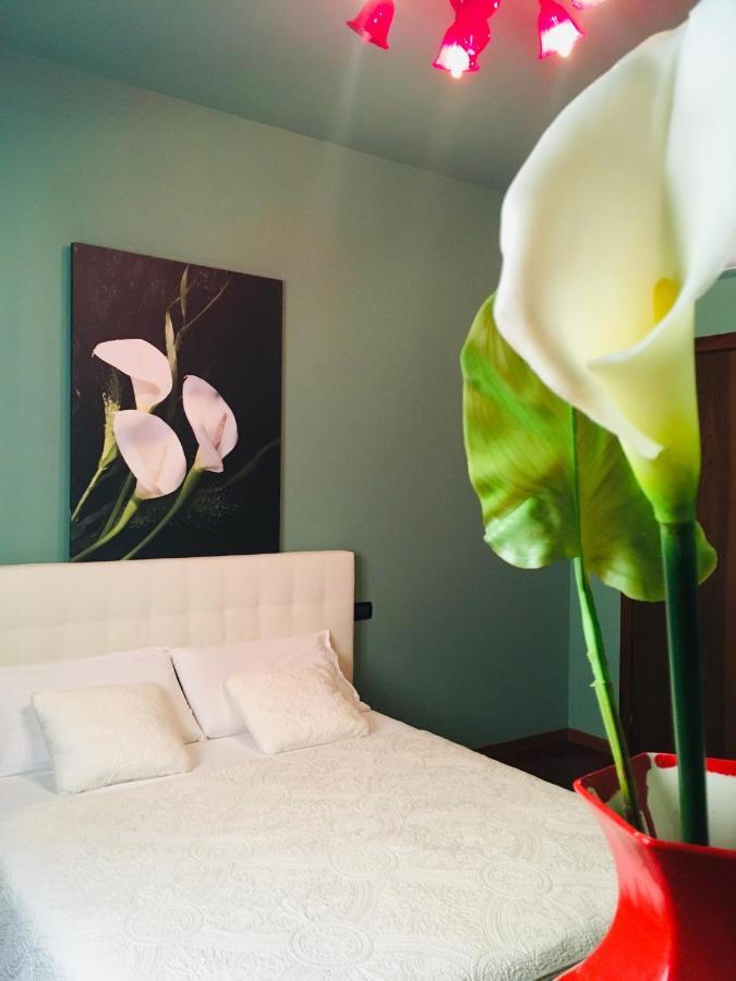 Casa Elisabetta Appartement Peschiera del Garda Buitenkant foto